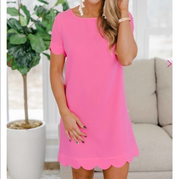 Pink Lily Dresses & Skirts - NWT Romantic Revival Pink Dress